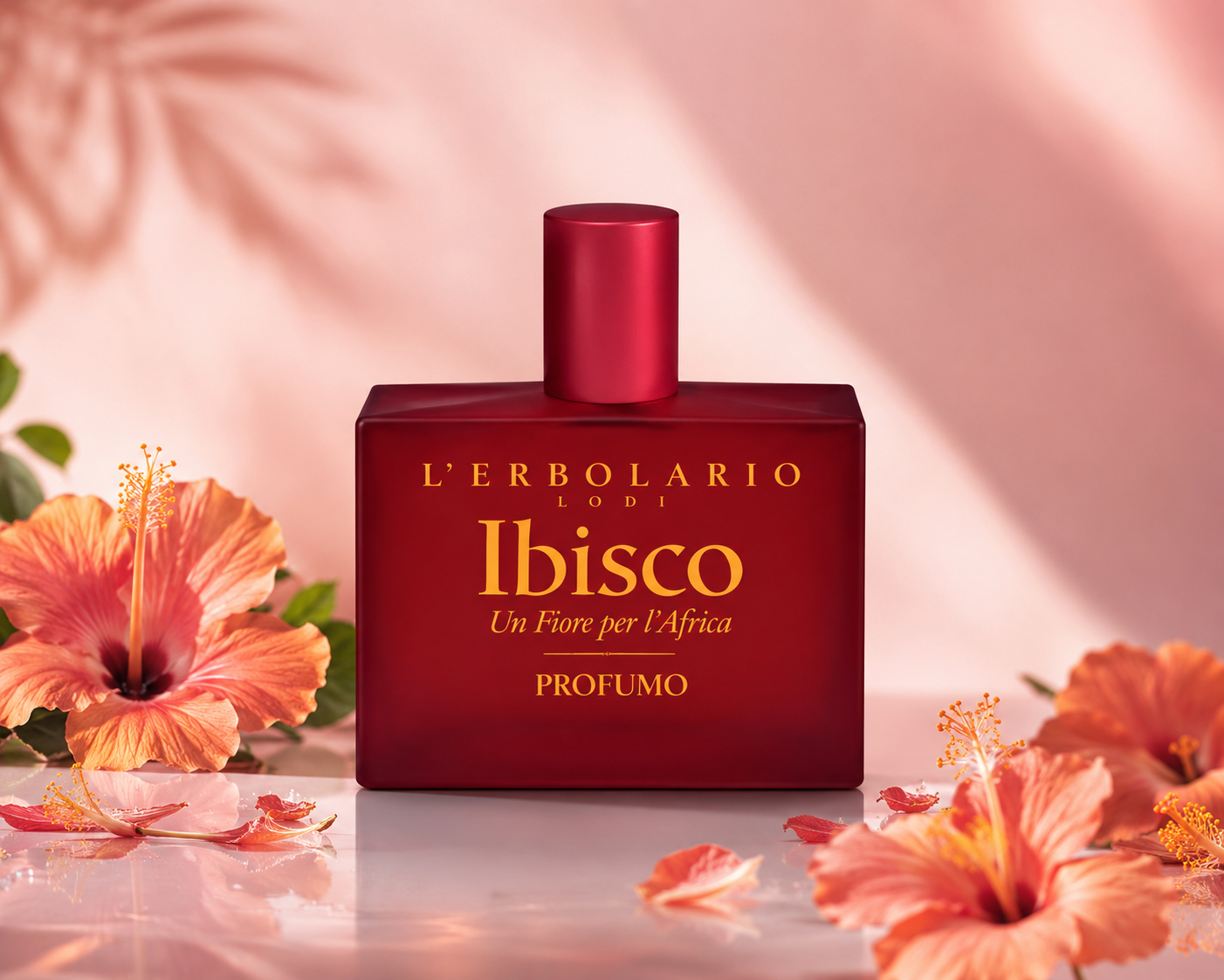 Ibisco Perfume 50ml - Imagen 2