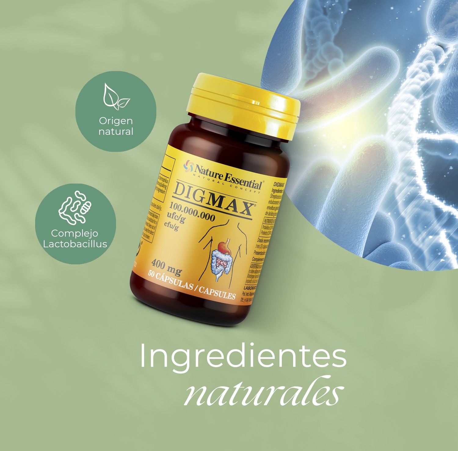 Dig-max® 400 mg. 50 cápsulas - Imagen 4