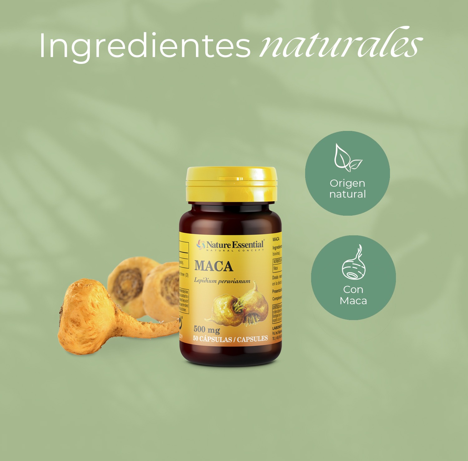 Maca 500 mg. 50 cápsulas - Imagen 4