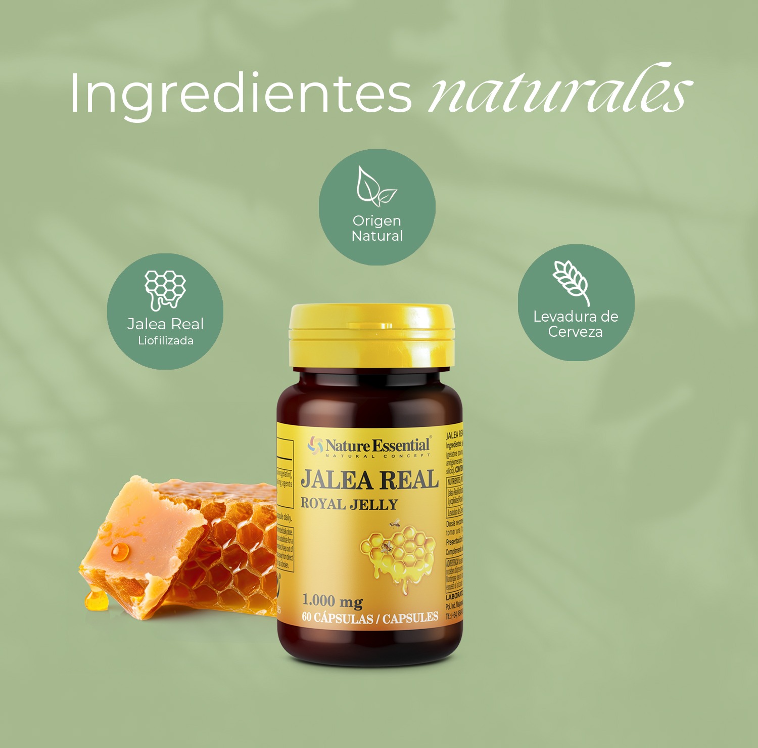 Jalea real 1000 mg. 60 cápsulas - Imagen 4