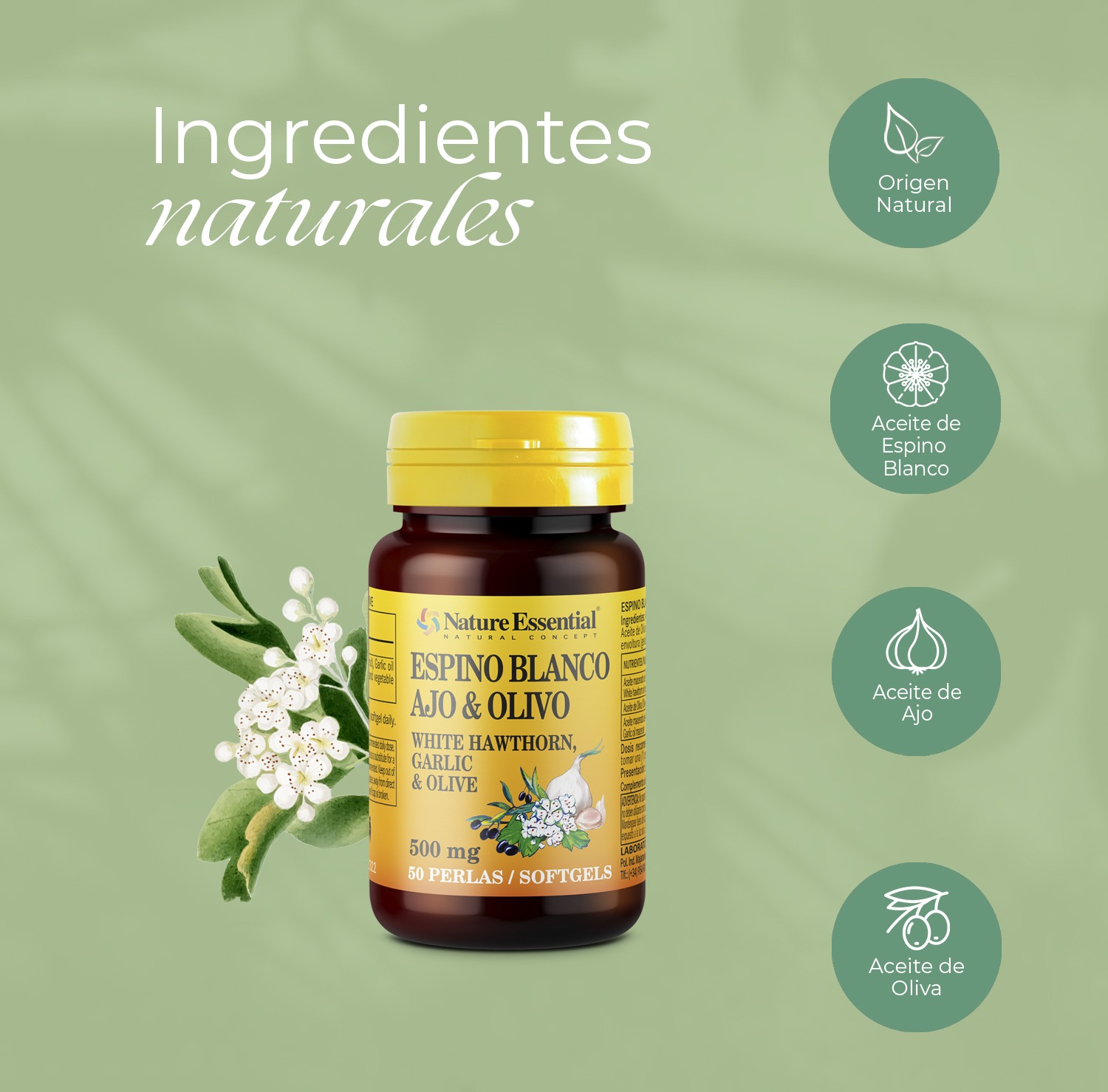 Espino blanco + ajo + olivo 500 mg. 50 perlas - Imagen 4