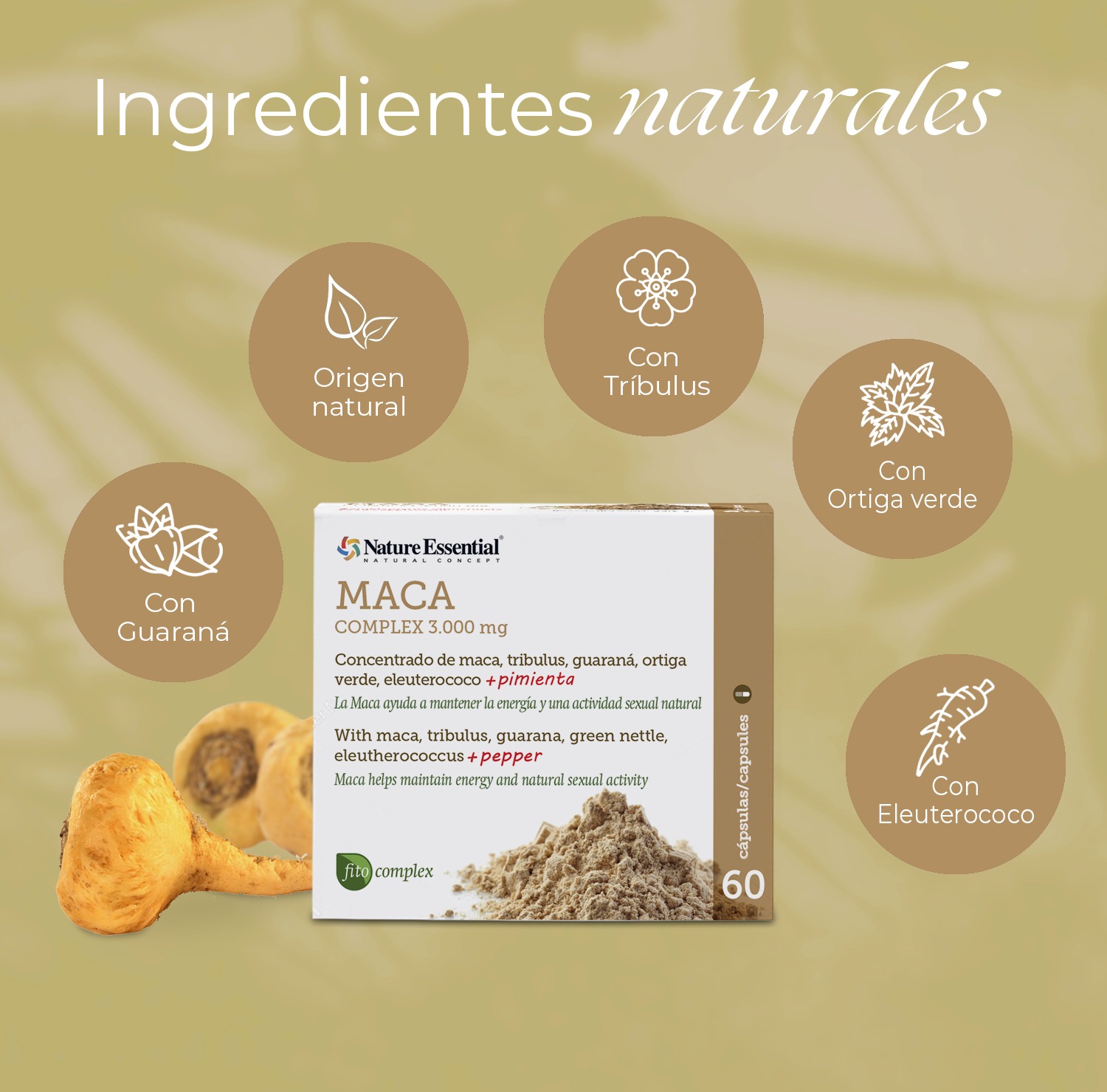 Maca (complex) 3000 mg. (ext. seco) 60 cápsulas - Imagen 3