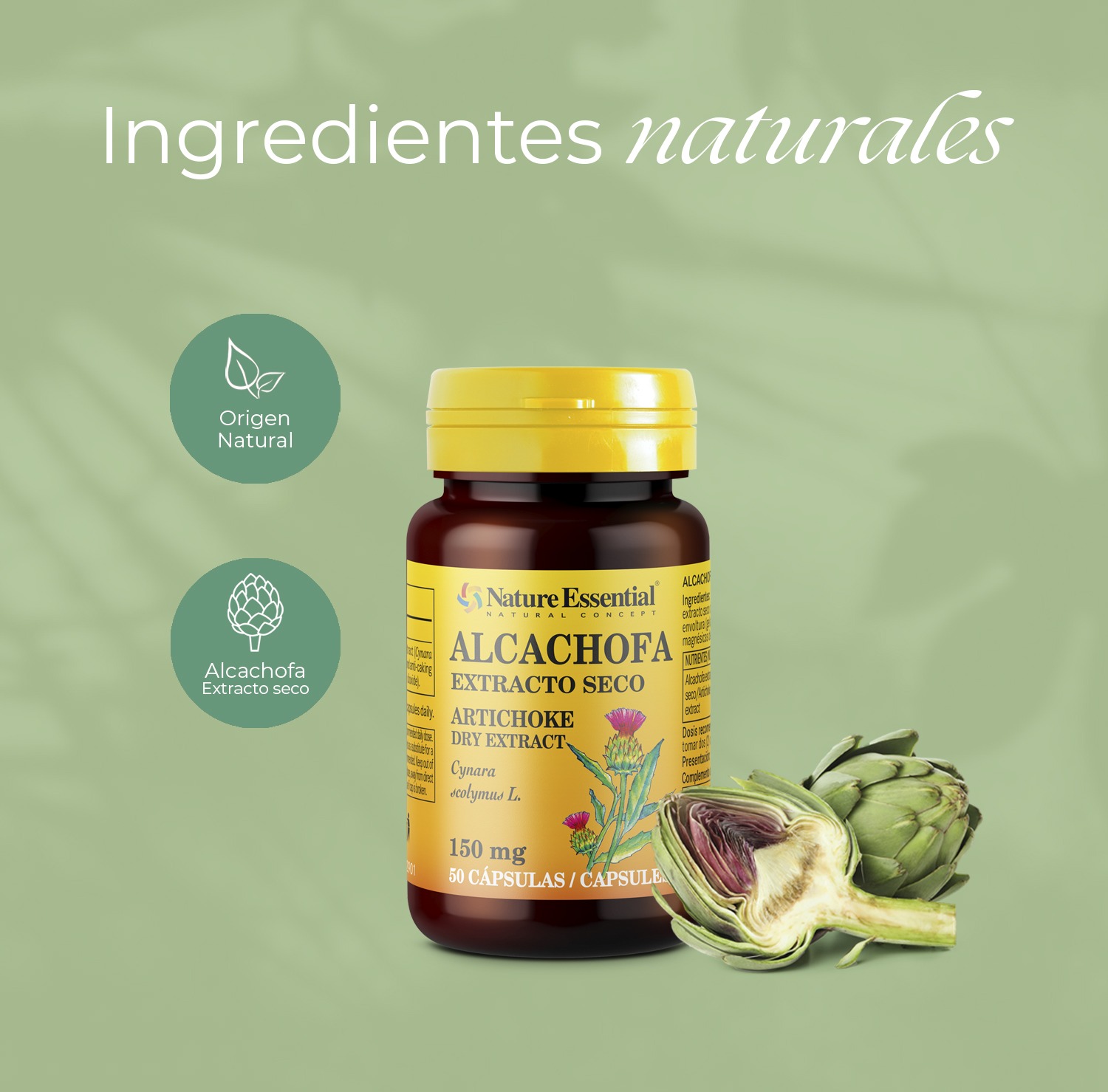 Alcachofa 150 mg. (Extracto seco) 50 cápsulas - Imagen 4
