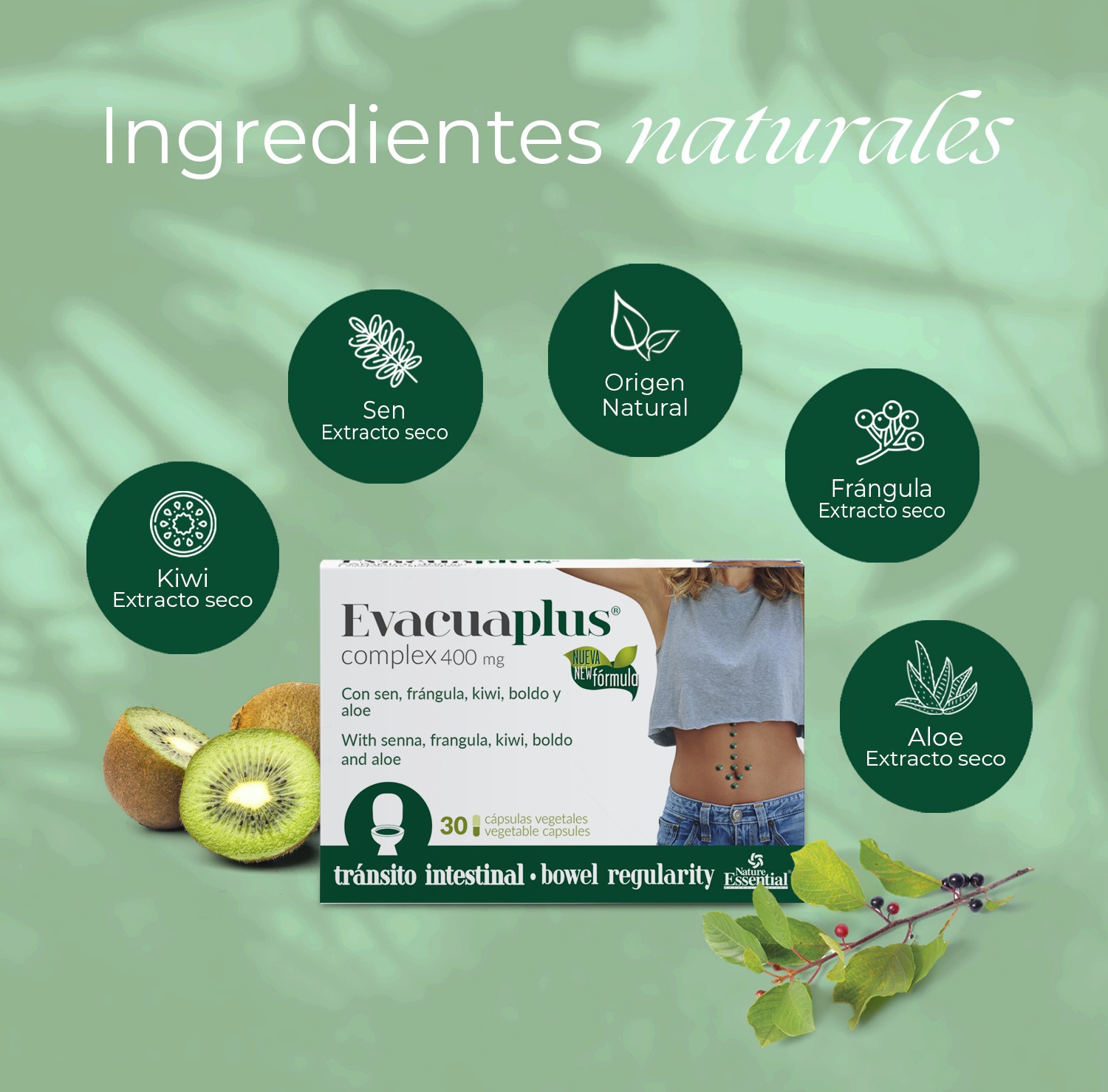 Evacuaplus® 400 mg. 30 cápsulas vegetales - Imagen 3