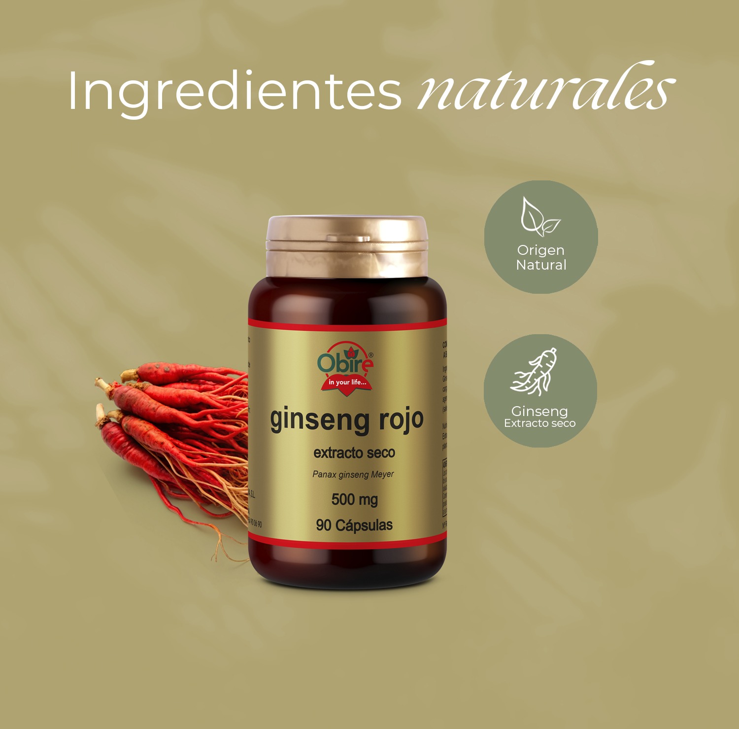 Ginseng rojo 500 mg. (ext. seco ) 90 cápsulas - Imagen 4