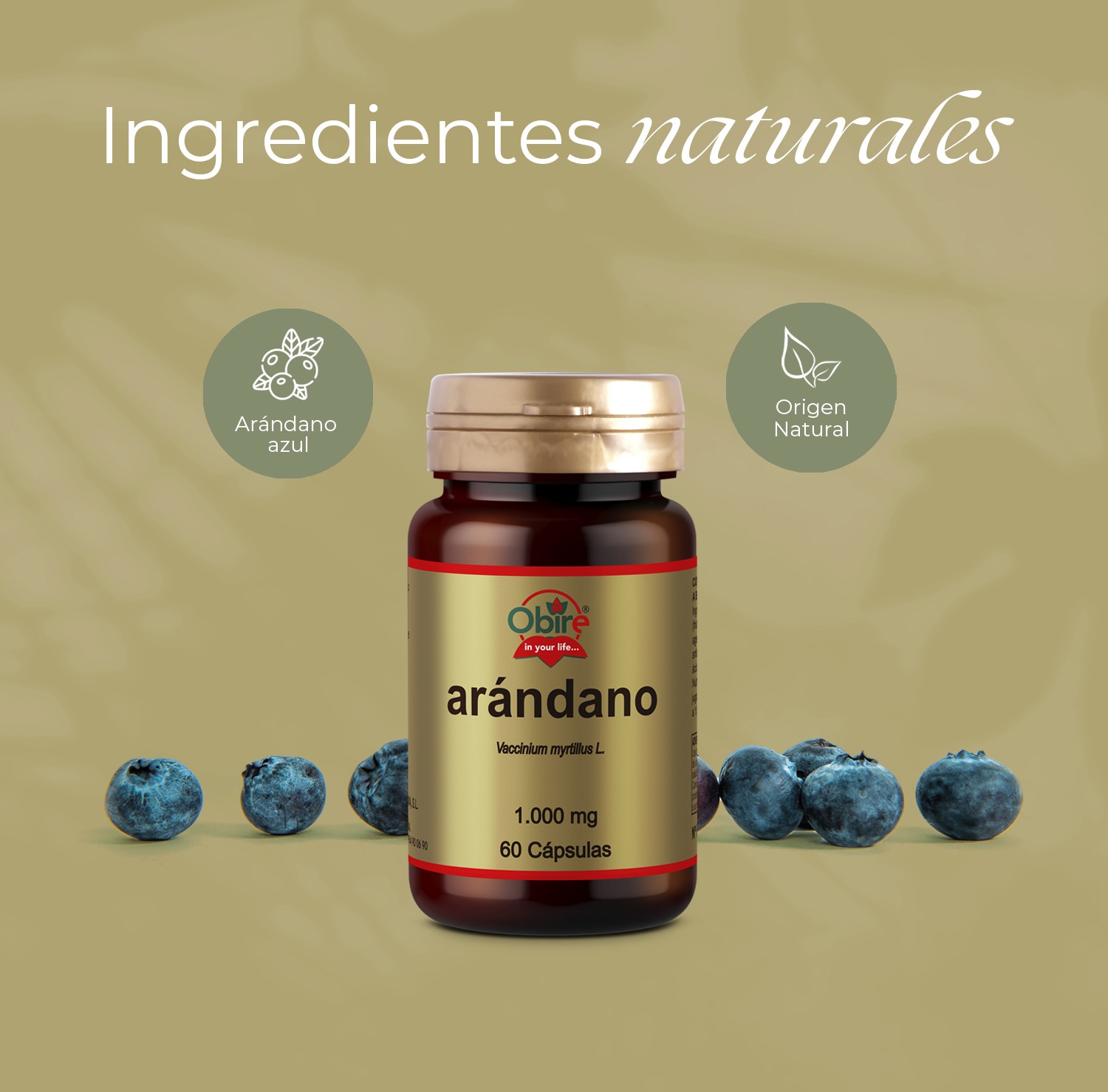Arándano 1000 mg. 60 cápsulas - Imagen 4