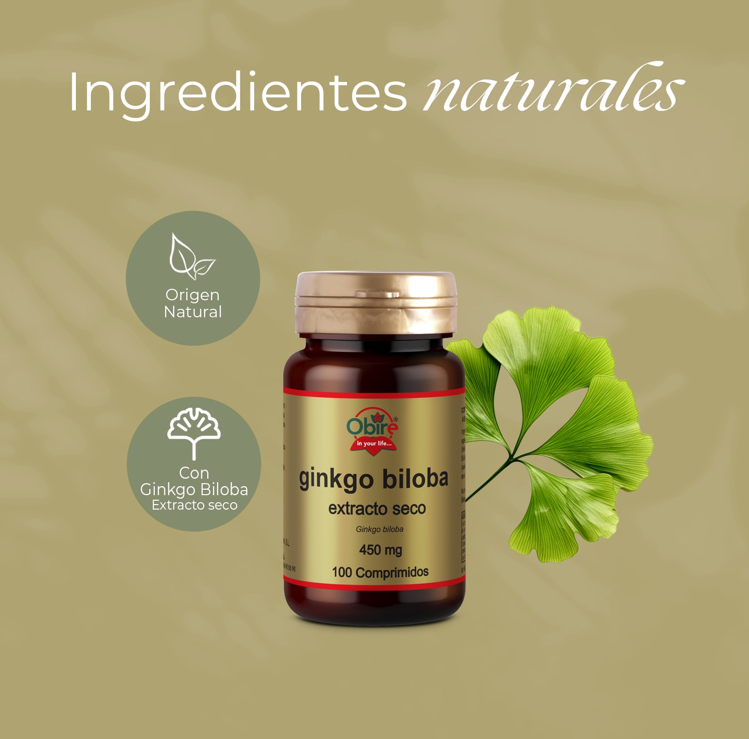 Ginkgo biloba 450 mg. (ext. seco) 100 comprimidos - Imagen 4