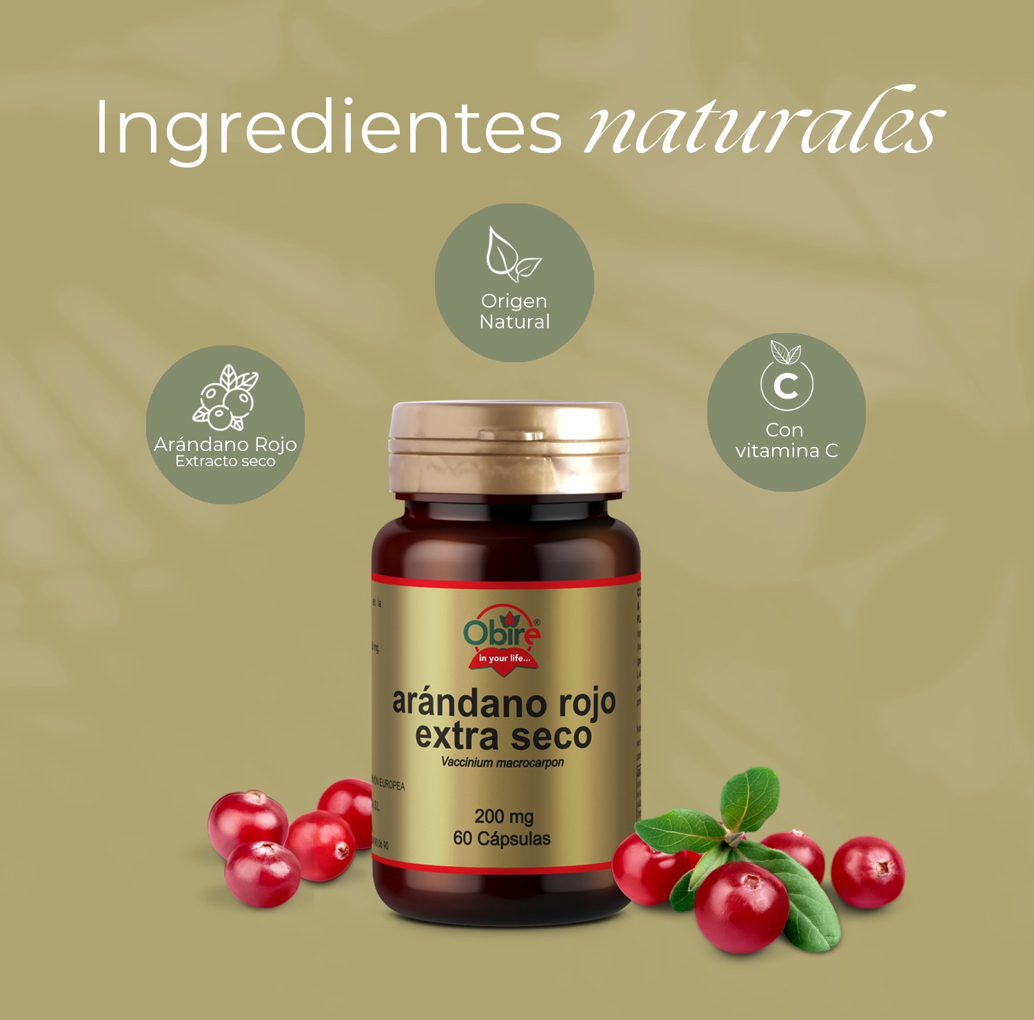 Arandano rojo 5000 mg. (Extracto seco 200 mg.) 60 cápsulas - Imagen 4