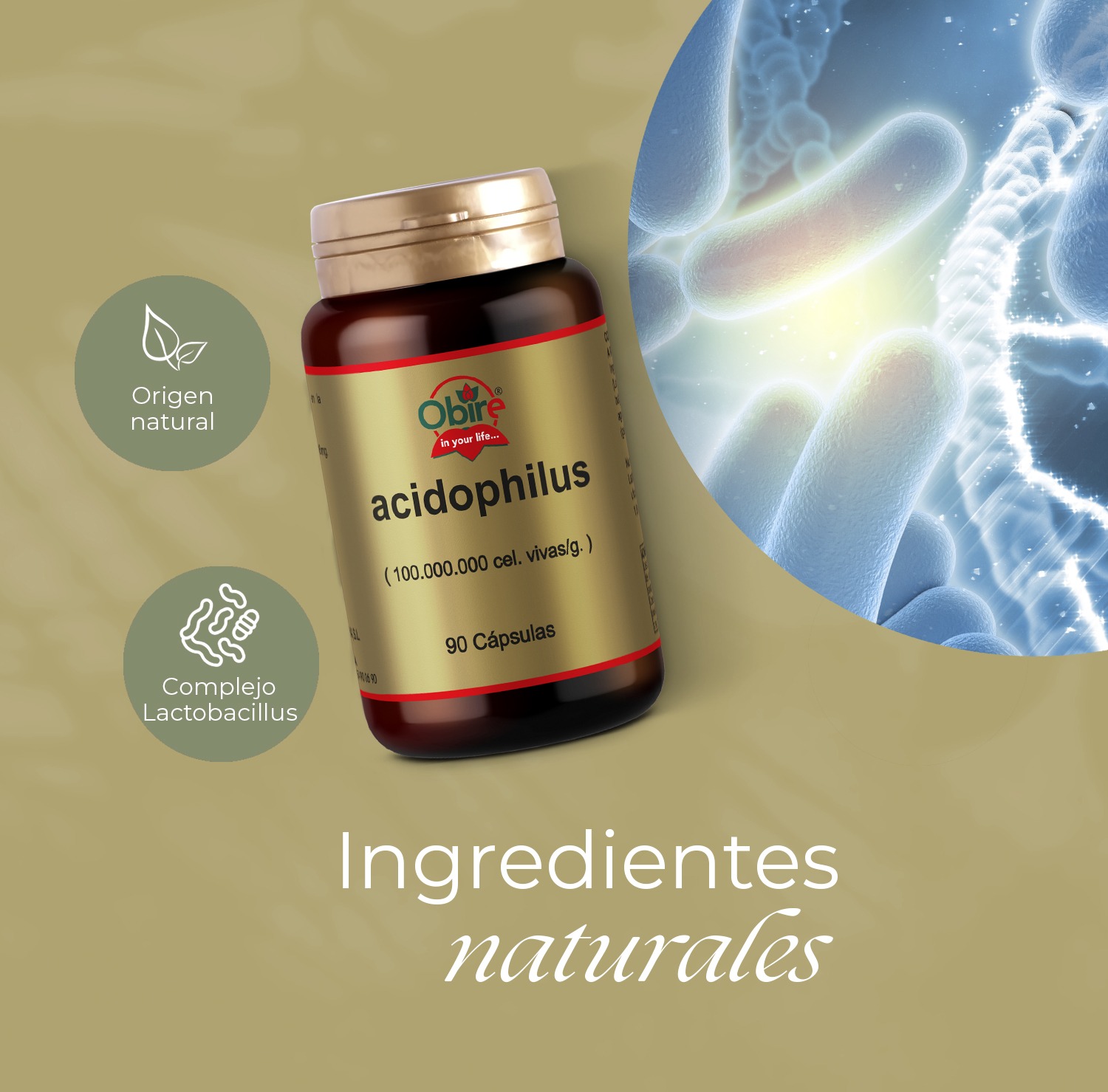 Acidófilus 400 mg. 90 cápsulas - Imagen 4