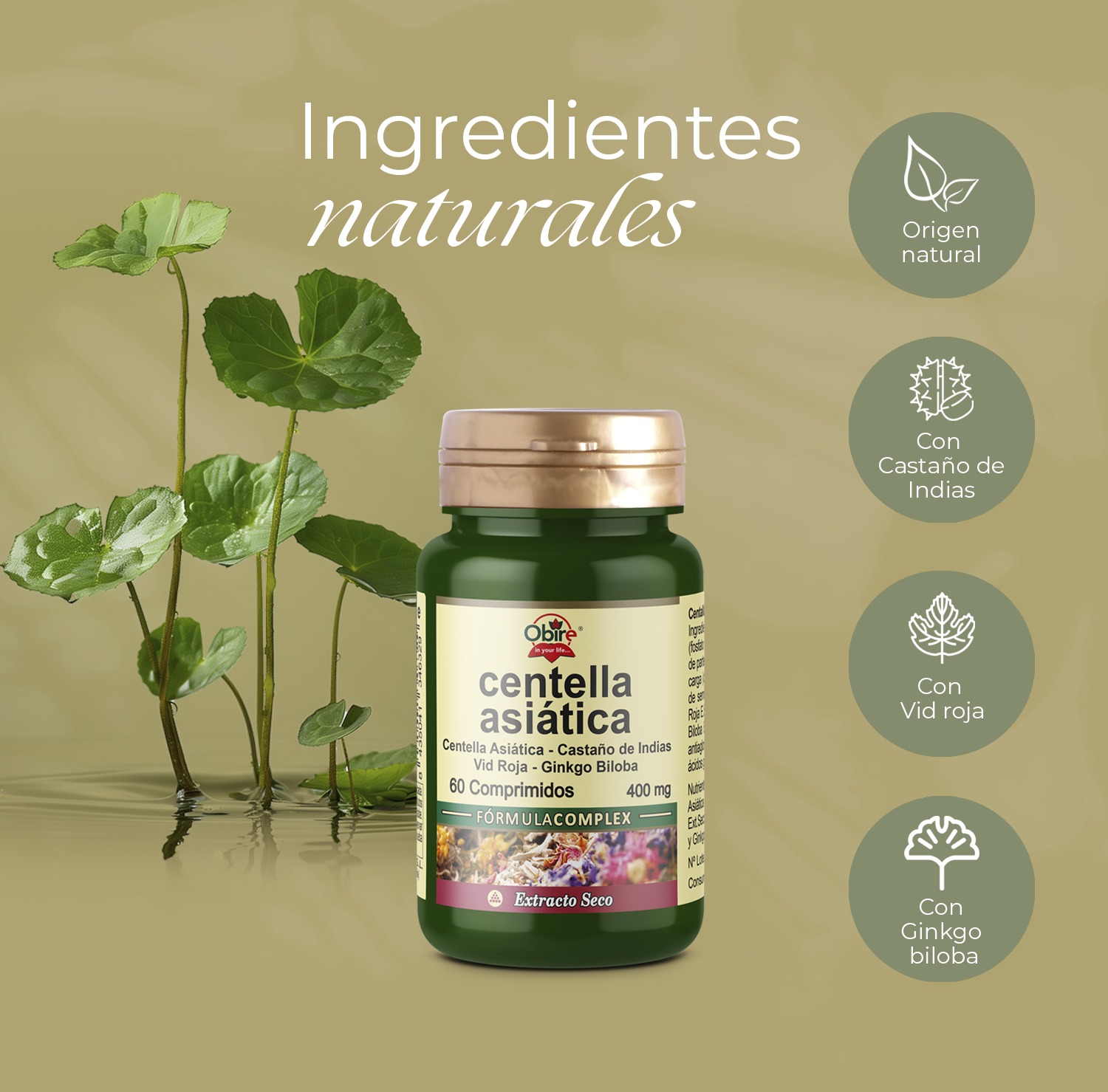 Centella asiatica (complex) 400 mg. (ext. seco) 60 comprimidos - Imagen 4