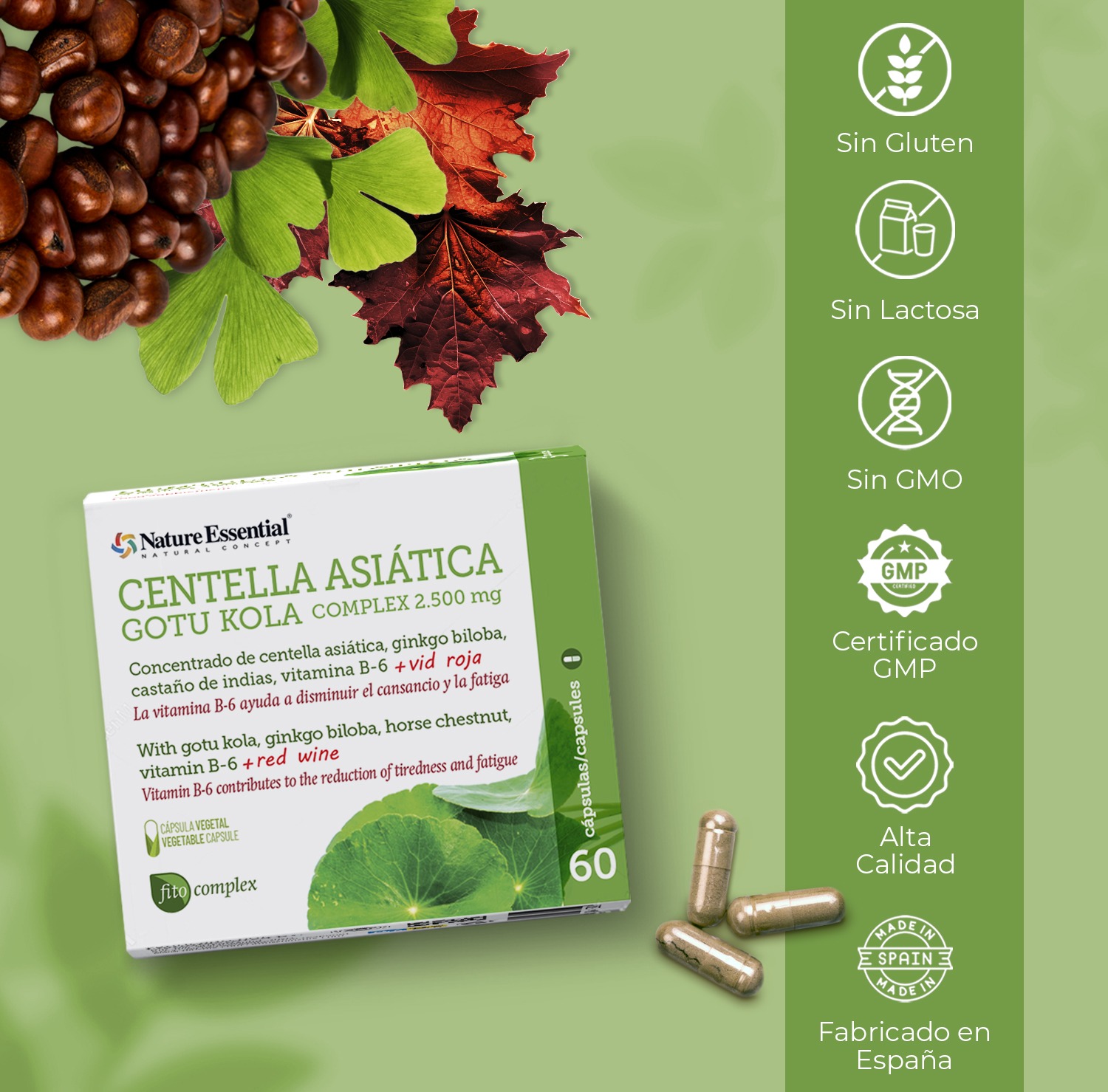 Centella asiática (complex) 2500 mg. 60 cápsulas vegetales - Imagen 4