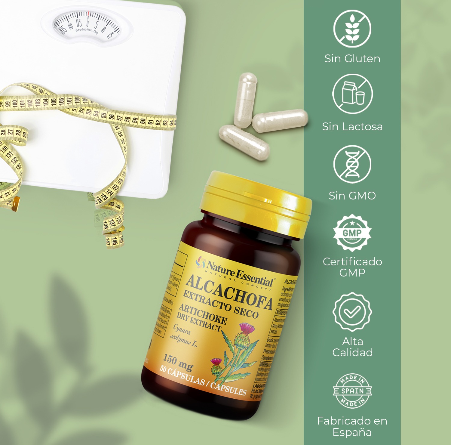 Alcachofa 150 mg. (Extracto seco) 50 cápsulas - Imagen 5