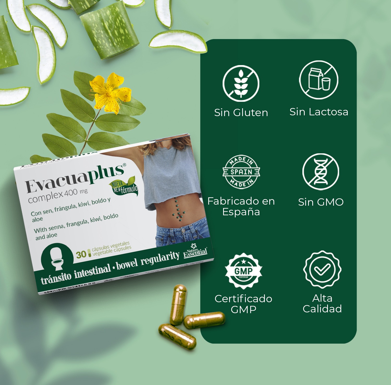 Evacuaplus® 400 mg. 30 cápsulas vegetales - Imagen 4