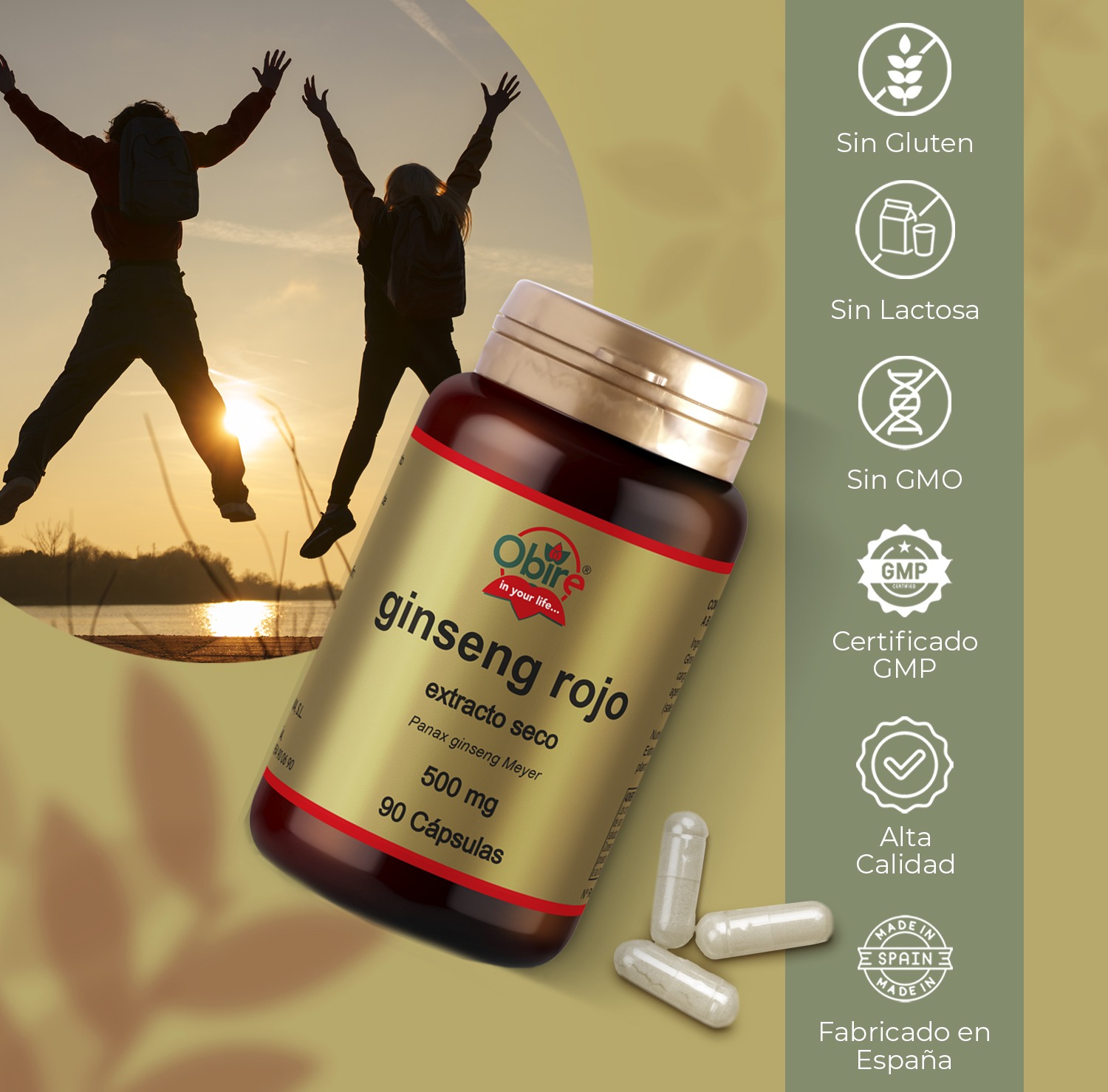 Ginseng rojo 500 mg. (ext. seco ) 90 cápsulas - Imagen 5
