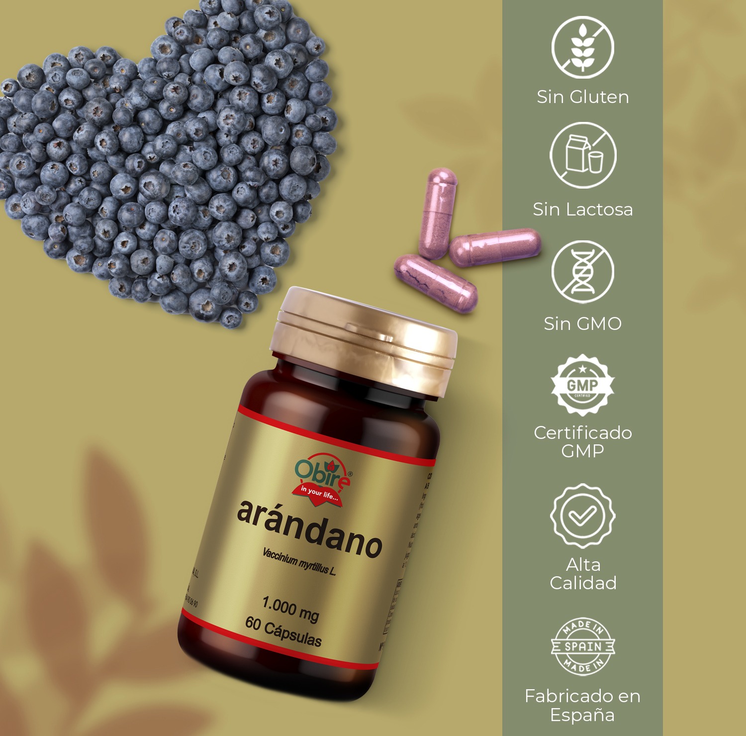 Arándano 1000 mg. 60 cápsulas - Imagen 5