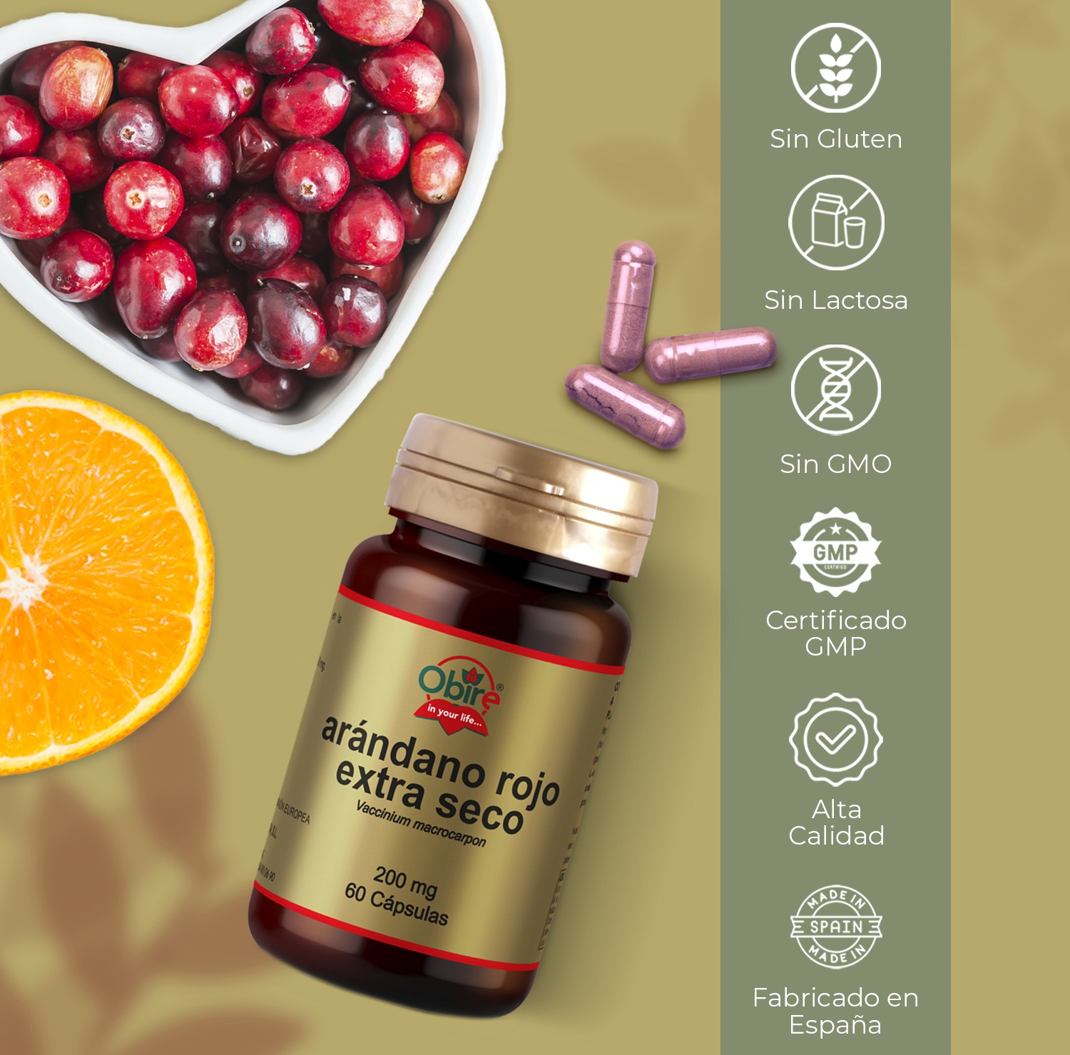 Arandano rojo 5000 mg. (Extracto seco 200 mg.) 60 cápsulas - Imagen 5