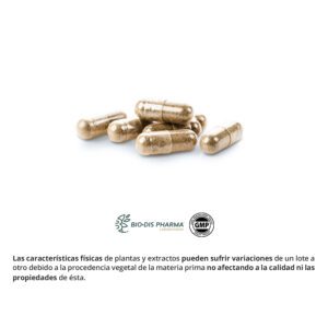 Ginseng & guaraná 400 mg. 50 cápsulas - Imagen 3