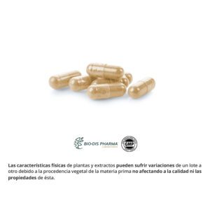 Jalea real 1000 mg. 60 cápsulas - Imagen 3