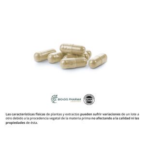 Café verde 200 mg. 60 cápsulas - Imagen 3