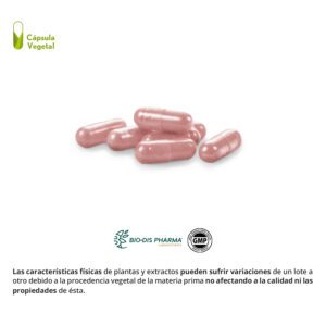 Arándano rojo 12.000 mg 30 cápsulas vegetales - Imagen 3