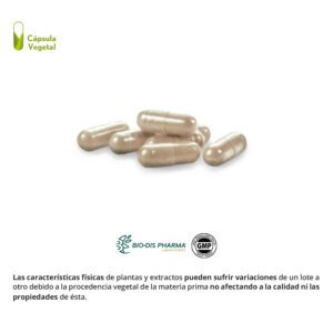 Ginkgo biloba 6000 MG. 30 cápsulas vegetales - Imagen 3