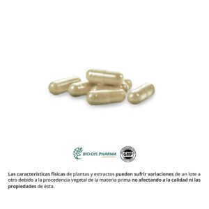 Café verde 2800 mg. (complex) 60 cápsulas - Imagen 3