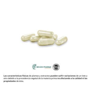Innopil® 600 mg. 60 cápsulas - Imagen 4