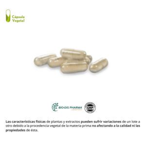 Evacuastop® 500 mg. 30 cápsulas vegetales - Imagen 3