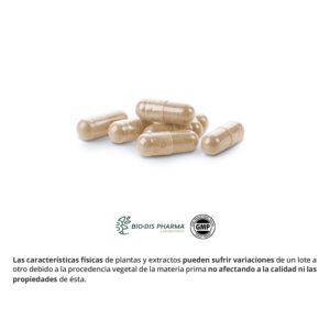Melisa 100 mg. (Extracto seco) 50 cápsulas - Imagen 3