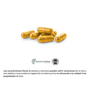 Cúrcuma 5000 mg. (95% curcumina) 60 cápsulas - Imagen 2
