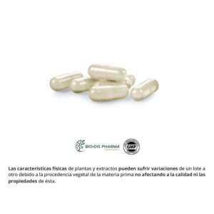 Chitosán 300 mg. 100 cápsulas - Imagen 3