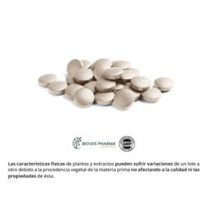 Ginkgo biloba 450 mg. (ext. seco) 100 comprimidos - Imagen 3