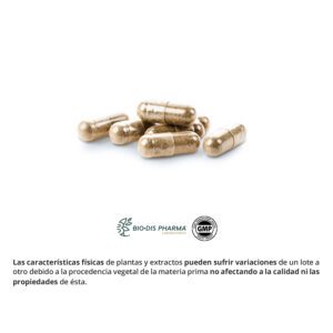 Ginseng & guaraná 400 mg. 90 cápsulas - Imagen 3