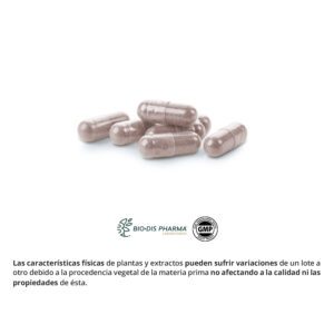Arandano rojo 5000 mg. (Extracto seco 200 mg.) 60 cápsulas - Imagen 3
