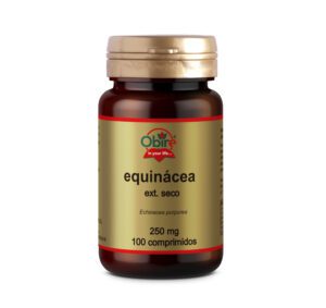 Echinacea 250 mg. (ext. seco) 100 comprimidos