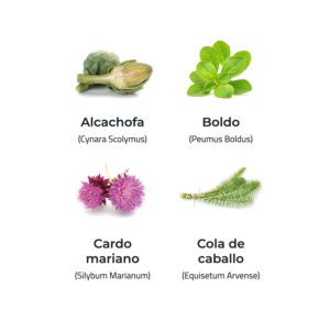 Drenaclean® 720 mg. 60 comprimidos - Imagen 2