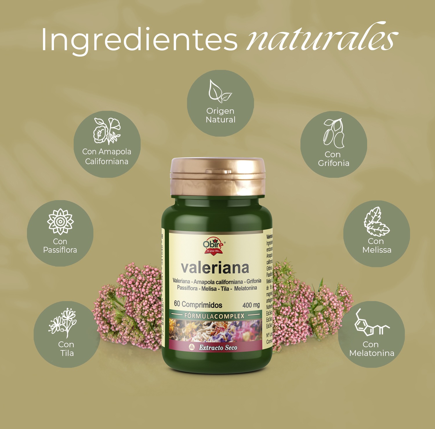 Valeriana (complex) 400 mg. (ext. seco) 60 comprimidos - Imagen 4