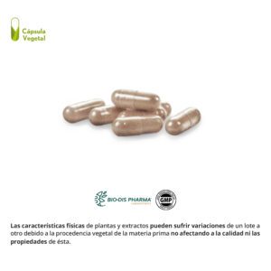 Reishi 2000 mg. (ext. seco) 30 cápsulas vegetales - Imagen 3