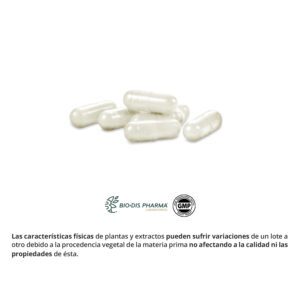 Vinagre de manzana 500 mg. 60 cápsulas - Imagen 2