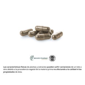Reishi 400 mg. 90 cápsulas - Imagen 3