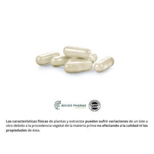 Shitake 350 mg. 90 cápsulas - Imagen 2