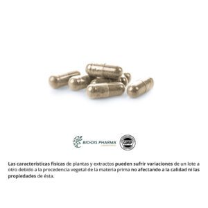Tribulus 500 mg. (90% saponinas) 90 cápsulas - Imagen 3