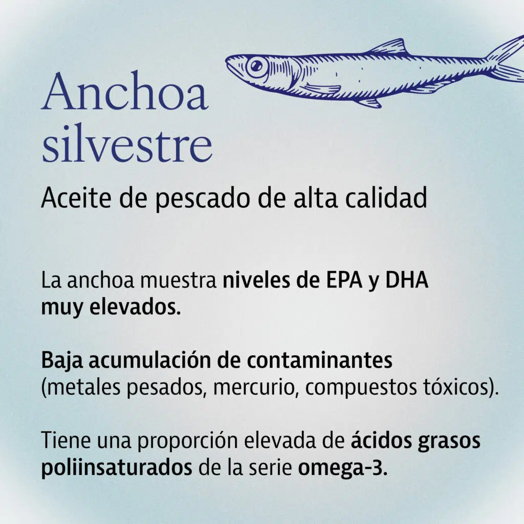 Omega 3 (60 cápsulas) - Imagen 3